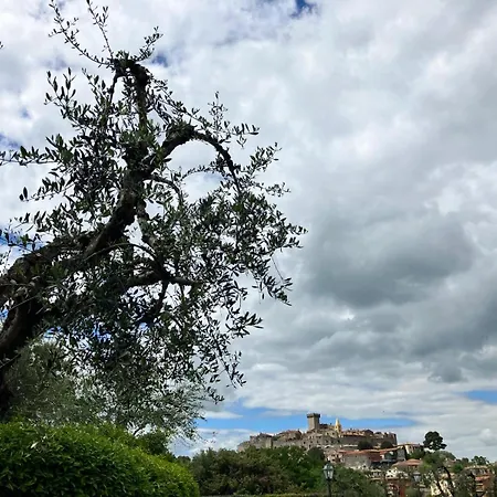 Affittasi A Per Minimo 5 Notti Daire